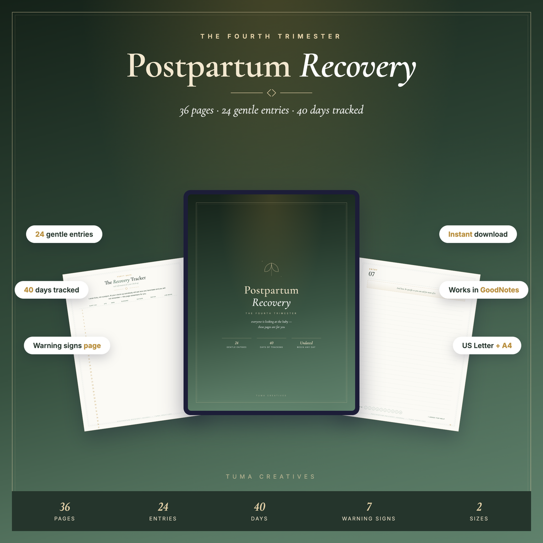 The Fourth Trimester: What Nobody Tells You About Postpartum Recovery