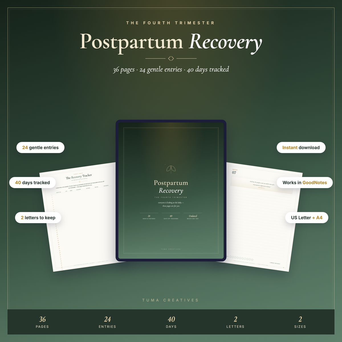 Postpartum Recovery Journal — 36 pages, print and iPad