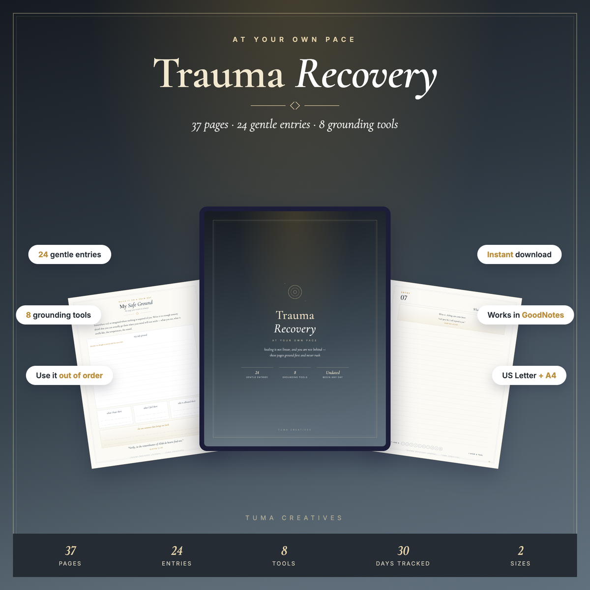 Trauma Recovery Journal — 37 pages, print and iPad