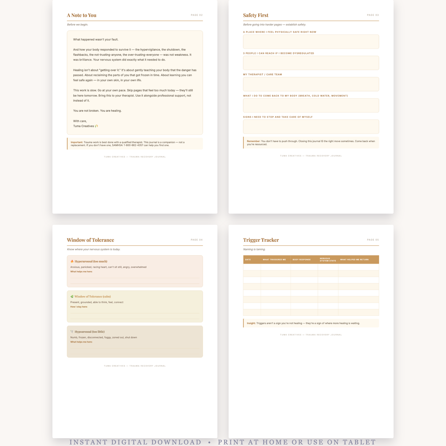 Trauma Recovery Journal