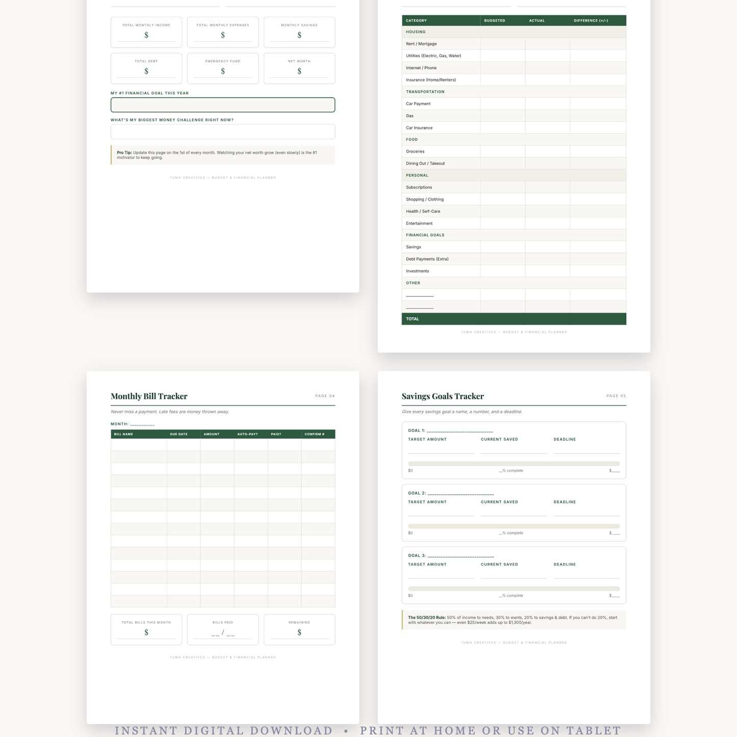 Budget & Financial Planner