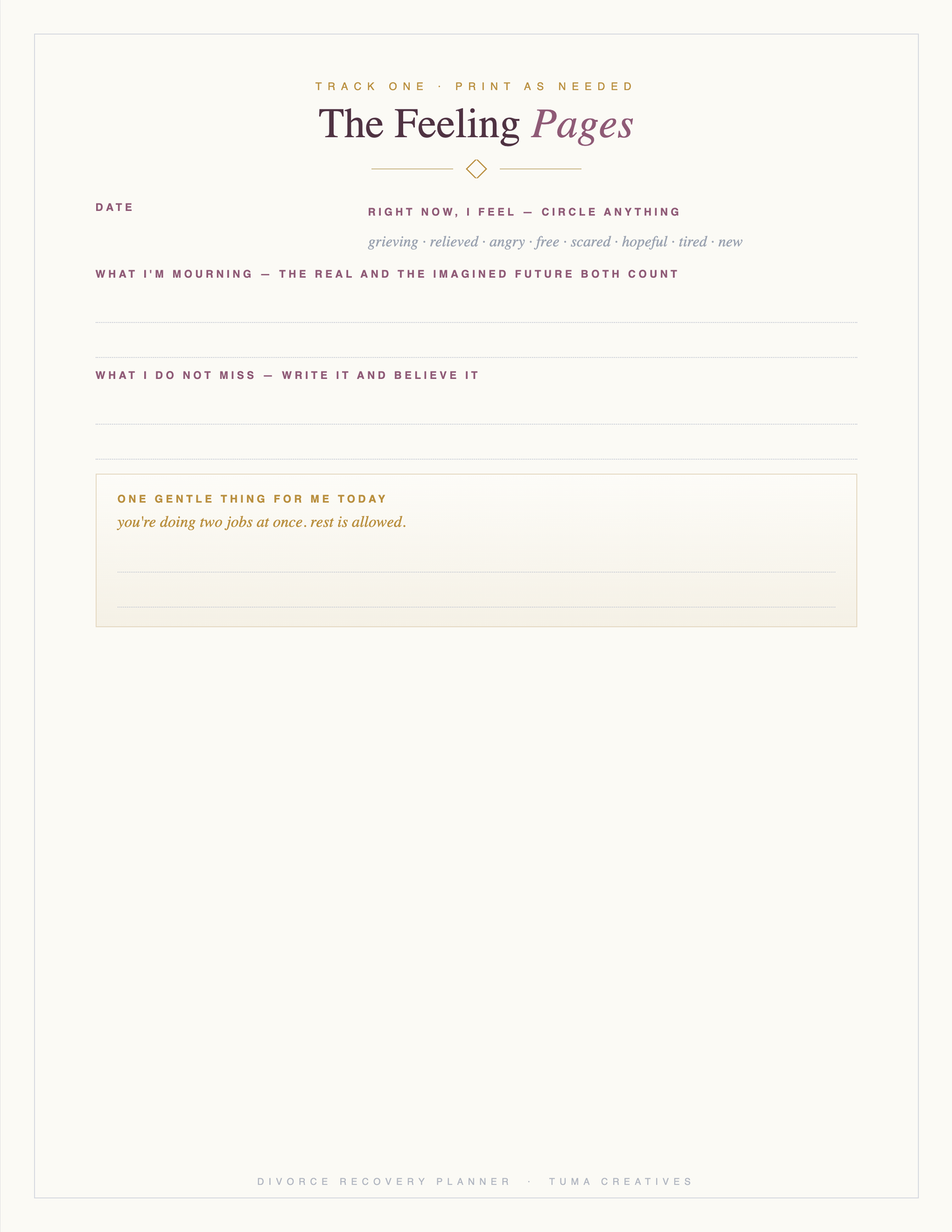Divorce Recovery Planner — The Feeling Pages