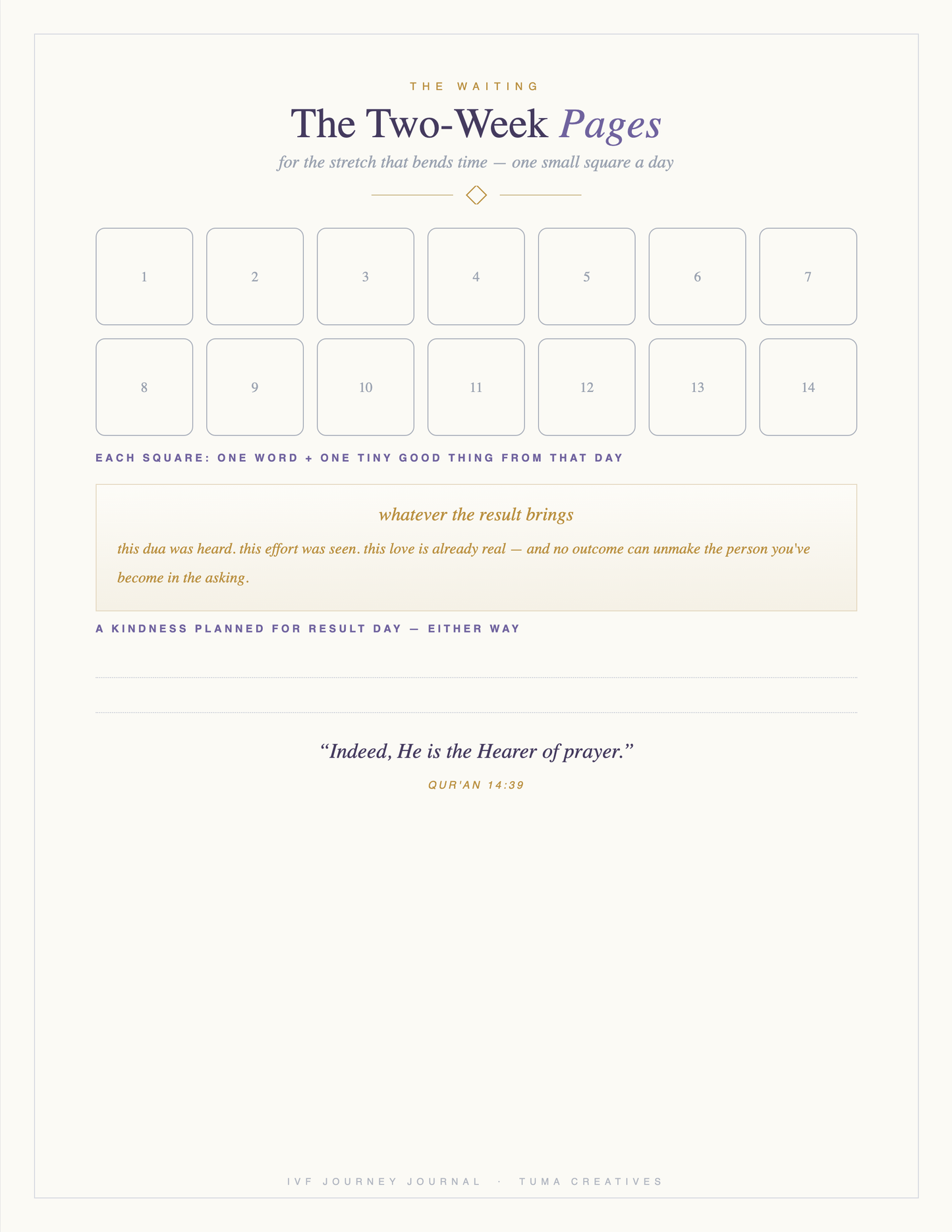 IVF Journey Journal — The Two-Week Pages