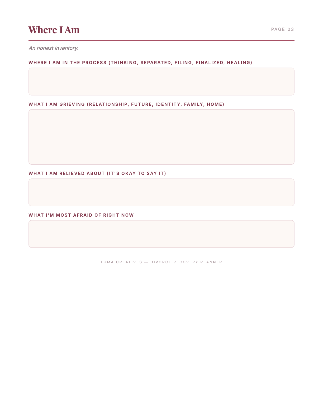 Divorce Recovery Planner