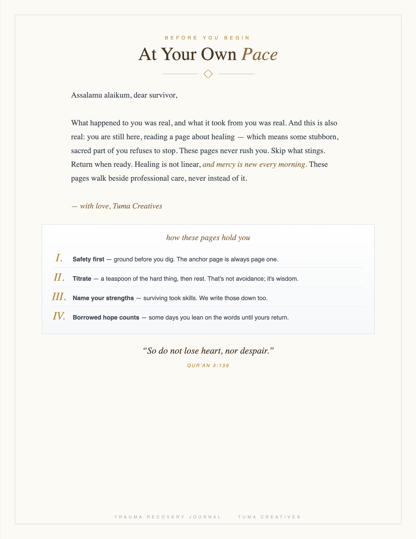 Trauma Recovery Journal — At Your Own Pace — welcome