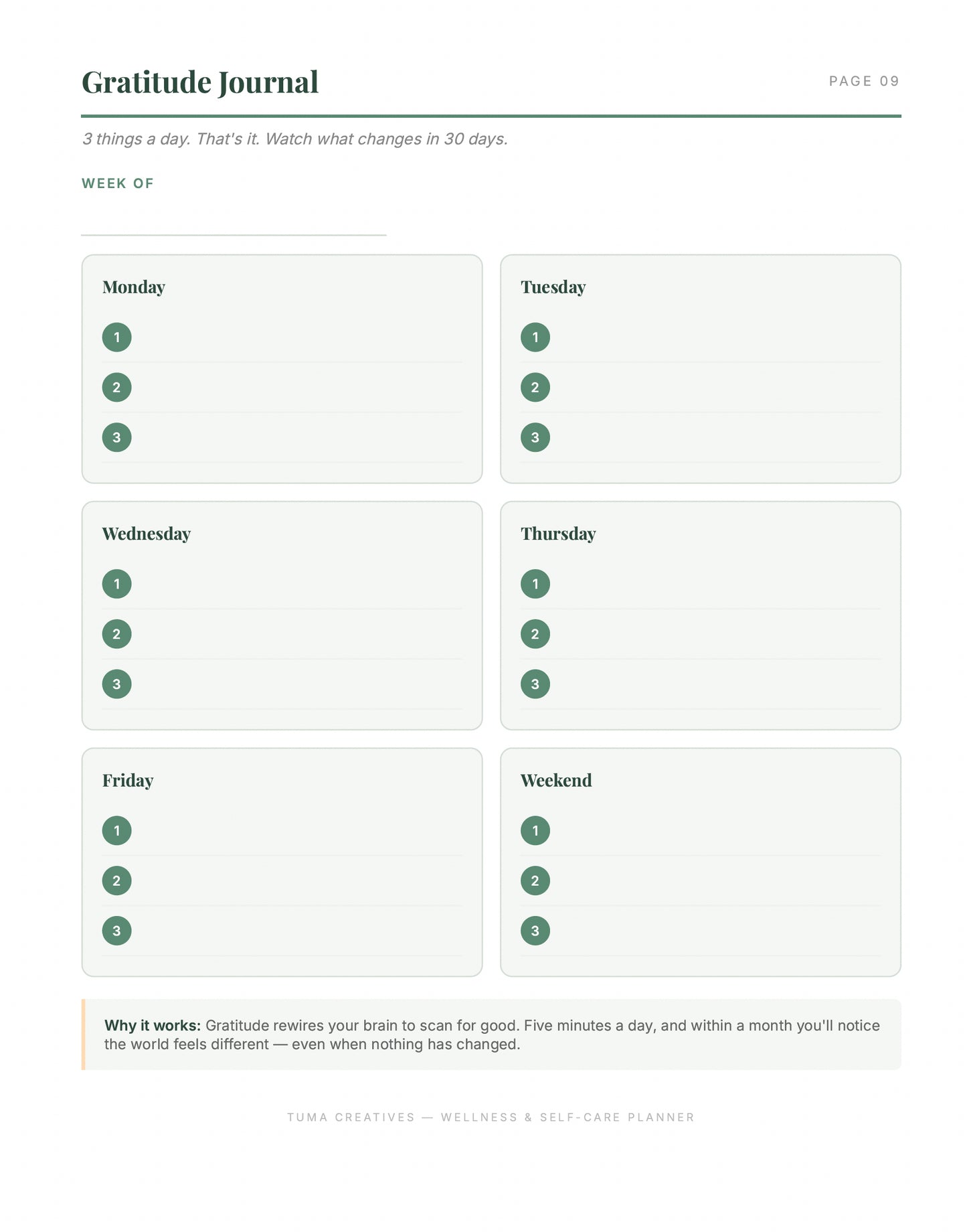 Wellness & Self-Care Planner